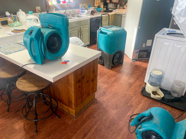 Best Water damage restoration company  in Whittier, CA