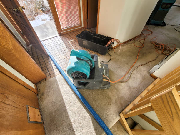 Best Residential water damage restoration  in Whittier, CA