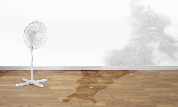 Best Water damage restoration near me  in Whittier, CA