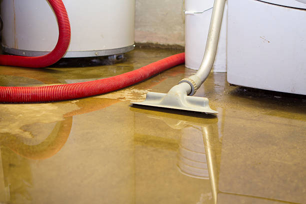 Best Flooded house restoration  in Whittier, CA