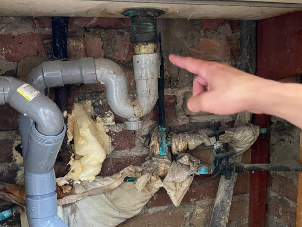 Best Fire Damage Restoration  in Whittier, CA